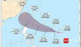 杭州双台风最新爆料,双面风暴，防御措施升级