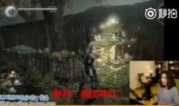 南京爆料网红事件视频,揭秘网络红人背后的真相