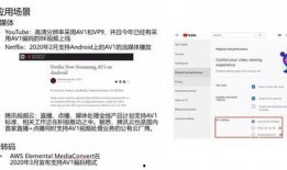 爆料视频具体要求是什么,内容、时长与传播细节全解析