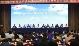 合作组在线观看,合作组在线观影新体验