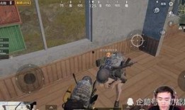 求人兽交在线观看,揭秘人兽交在线观看的惊悚真相