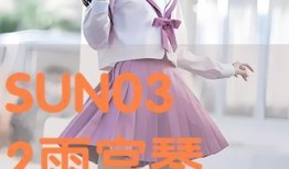 宫雨琴音在线观看,穿越时空的旋律之旅