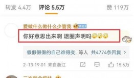 桃溪粉丝爆料视频播放网站,热门视频播放网站幕后故事