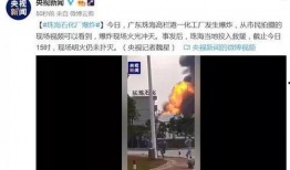 珠海网友爆料最新