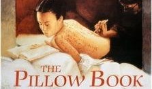 电影枕边书在线观看,一场跨越时空的浪漫邂逅