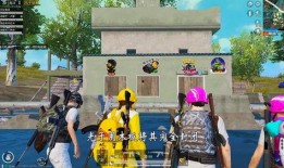 海岛最新玩法爆料视频,视频爆料带你畅游梦幻岛屿