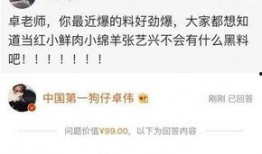 卓伟爆料娱乐圈的黑暗,卓伟爆料背后的黑暗真相