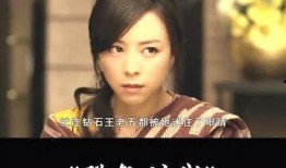 华丽的出轨在线观看,揭秘豪门背后的情感纠葛