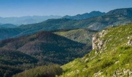 昆明禄劝最新爆料