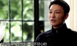 张译被熊猫事件爆料视频,揭秘背后真相与网络舆论风暴