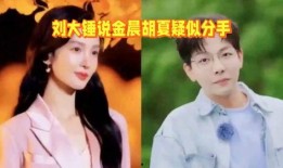 刘大锤最新爆料金晨