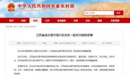 今日农村爆料新闻视频网,揭秘农村热点事件，关注农民生活现状