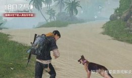 海岛最新玩法爆料视频,视频爆料带你畅游梦幻岛屿