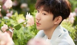 王源近日爆料新闻事件,揭秘娱乐圈背后惊人真相