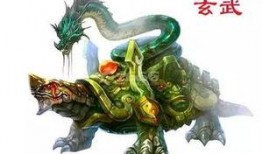 最新爆料四大神兽视频,最新视频曝光震撼来袭！