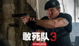 电影硬汉3在线观看,巅峰对决——巅峰对决，硬汉归来！