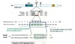 美国新病毒爆料视频大全,最新爆料视频大全深度解析