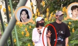 娱记爆料杨迪视频,揭秘背后惊人真相