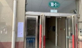 卖惨爆料视频合集大全,卖惨爆料视频合集，揭开生活不易的真相