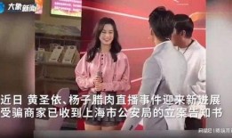 冰嫂直播爆料事件视频,揭秘背后真相与争议