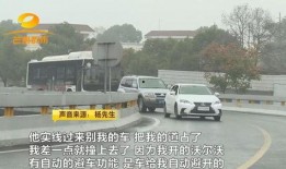 豪车车主爆料视频播放,揭秘高端车圈幕后真相