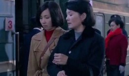 带妈妈回家在线观看,温情回忆与亲情之旅