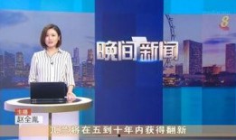 新加坡新闻频道爆料事件,揭秘真相与影响
