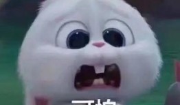 吃瓜网红翻车事件真相视频,揭秘背后惊人内幕