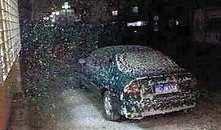 珠海网友爆料最新