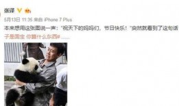 张译被熊猫事件爆料视频,揭秘背后真相与网络舆论风暴