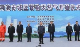 广西河池新闻爆料视频最新,突发事件引发关注，详情即将揭晓