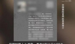 爆料美院教授视频播放网站,独家爆料带你探秘艺术教育界