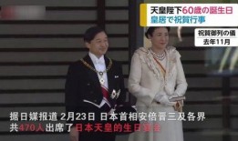 爆料日本首相视频大全播放,视频大全播放背后的真相与争议