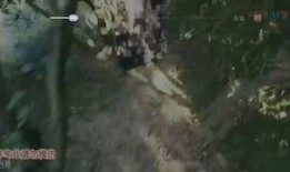 蛇哥爆料的视频,内幕大曝光！