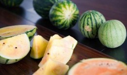 浙江男网红吃瓜,揭秘瓜界新潮流