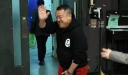 港媒爆料谭咏麟视频事件,真相与争议交织