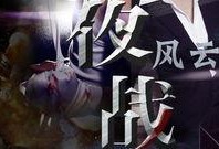 夜战在线观看,暗夜激战，生死较量