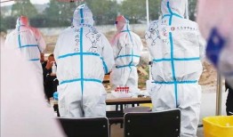 大白最新爆料停服,停服背后的大白最新爆料！