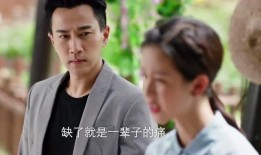 吃瓜看电视剧免费,畅享娱乐盛宴