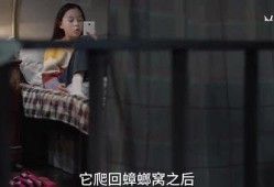 伊静和姐姐最新爆料视频