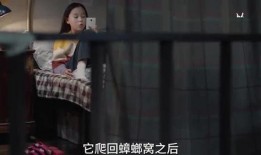 伊静和姐姐最新爆料视频