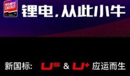 小牛最新国标爆料视频下载,最新爆料视频深度解析