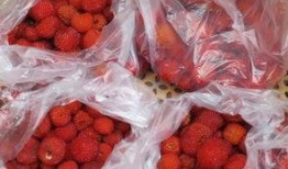 厦门野草莓爆料视频,网友爆料视频引关注