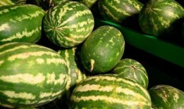 武都网红吃瓜事件