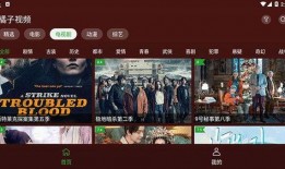 八卦爆料素材视频下载安装,揭秘八卦爆料素材视频下载安装全攻略