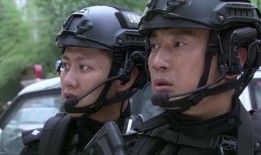 白虹突击队在线观看,在线观看，揭秘神秘特种部队的传奇征程