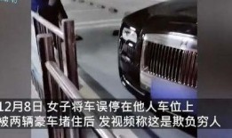 豪车车主爆料视频播放,揭秘高端车圈幕后真相