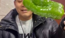 浙江男网红吃瓜,揭秘瓜界新潮流