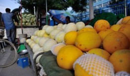 吃蜜瓜甜瓜视频免费观看,视频盛宴等你来