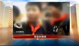 打假黑蛋爆料事件视频,揭秘网络谣言背后的真相